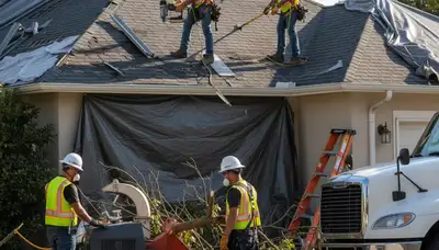 Clearwater, FL arborist removing storm-damaged tree debris for emergency cleanup services