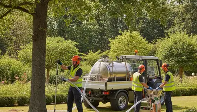 Tree fertilizing service in Clearwater, FL by Arbor Tree Care for healthier, stronger trees