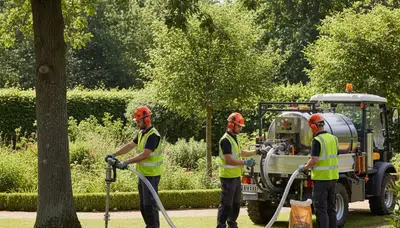 Tree fertilizing service in Clearwater, FL for healthier trees and year-round nutrient support