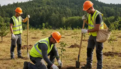 Tree planting service in Clearwater, FL for coastal landscapes and proper species selection