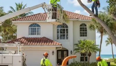 Tree service crew in Clearwater, FL providing professional tree removal and trimming for homeowners